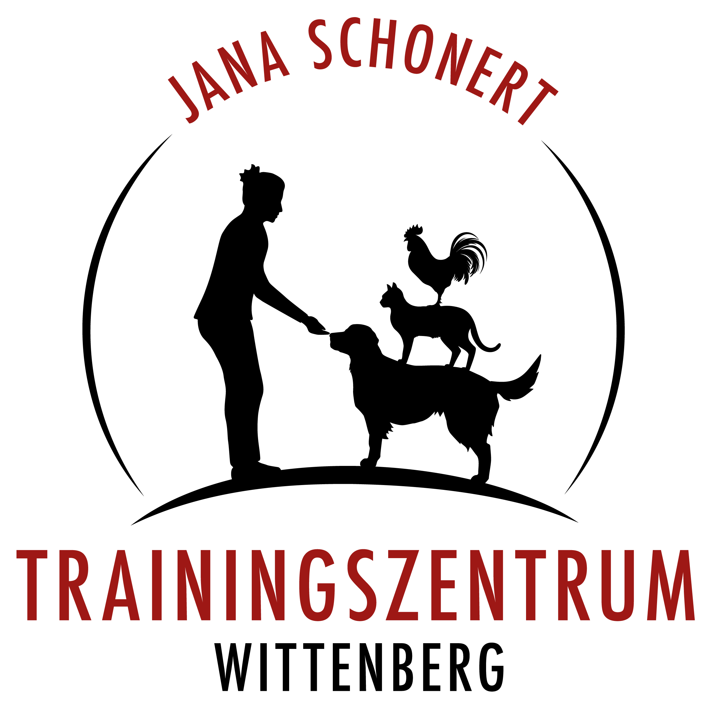 Der Welpe zieht ein - das erste Jahr mit Data