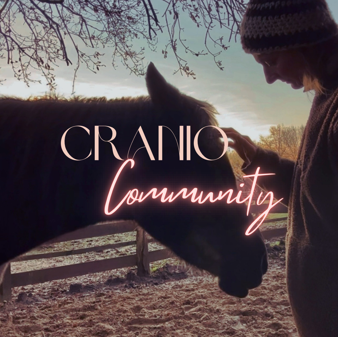 Cranio Community
